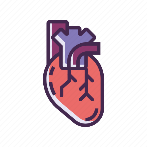 Heart, organ icon - Download on Iconfinder on Iconfinder