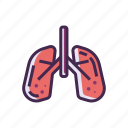 lung, lungs, organ