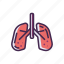lung, lungs, organ 