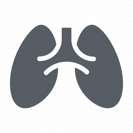 Anatomy, healthcare, lungs, medical, organ, people icon - Download on Iconfinder