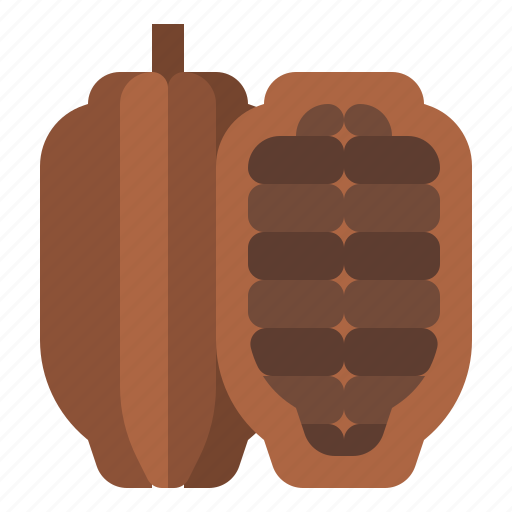 Cacao, nut, healthy, food icon - Download on Iconfinder