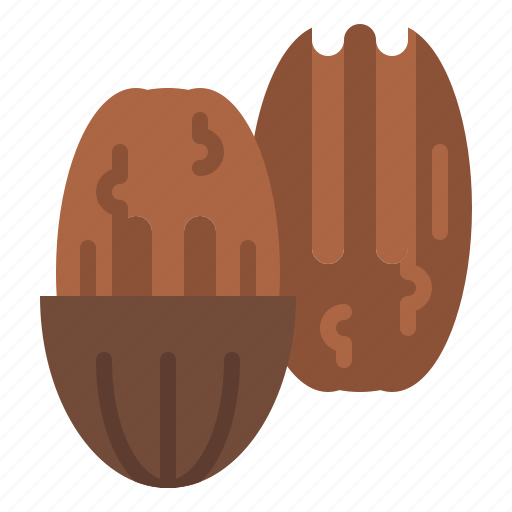 Pecan, nut, healthy, food icon - Download on Iconfinder