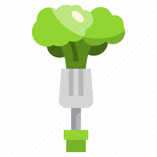 Broccoli, vegetable, food, healthy, nature icon - Download on Iconfinder