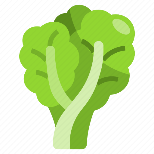 Lettuce, vegetable, food, healthy, nature icon - Download on Iconfinder