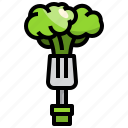 broccoli, vegetable, food, healthy, nature
