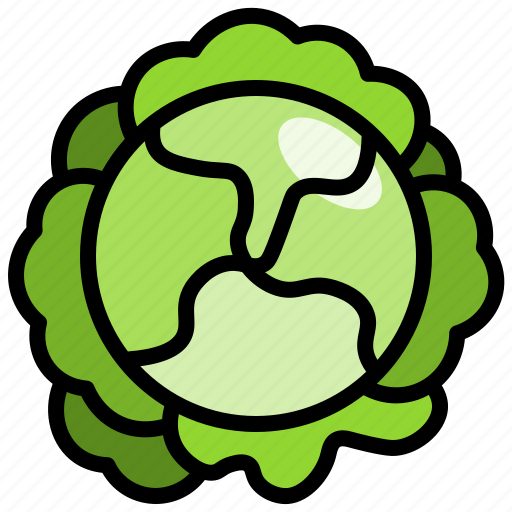 Cauliflower, vegetable, food, healthy, nature icon - Download on Iconfinder