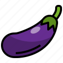 eggplant, vegetable, food, healthy, nature