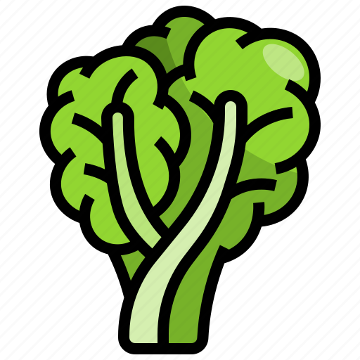 Lettuce, vegetable, food, healthy, nature icon - Download on Iconfinder