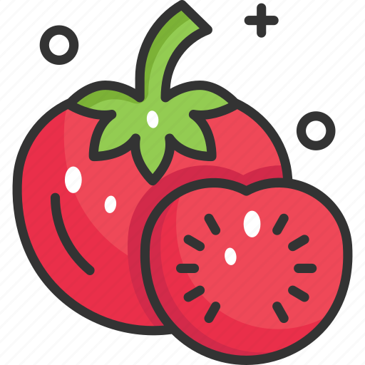 Diet, food, fruit, tomato, tomatoes icon - Download on Iconfinder