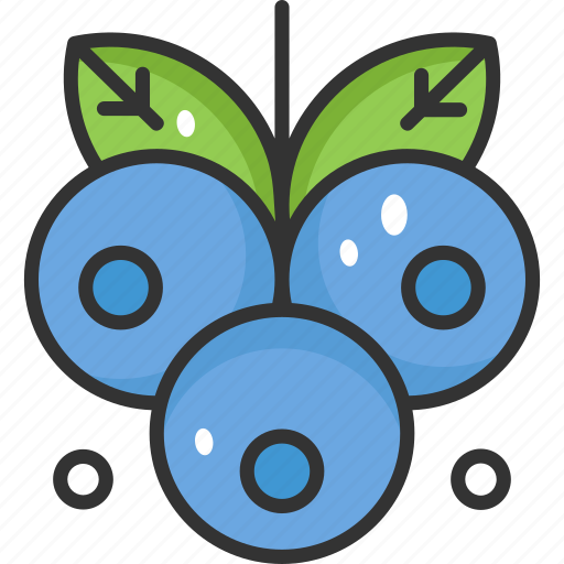 Blueberry, fruit, healthy, vegan, vegetarian icon - Download on Iconfinder