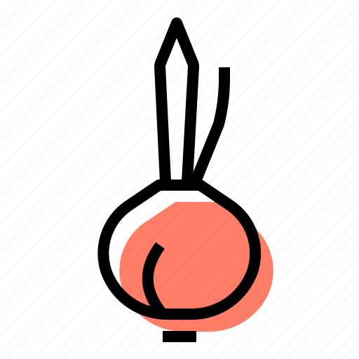 Onion, bulb, cooking, food icon - Download on Iconfinder