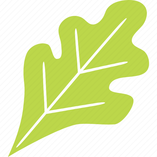 Leaf, vegetable, lettuce, spinach, healthy, food icon - Download on Iconfinder