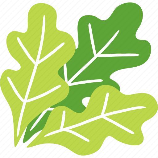 Green, oak, lettuce, vegetable, salad, healthy icon - Download on Iconfinder