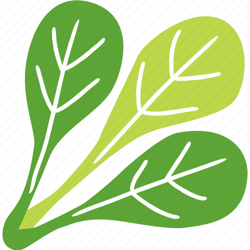 Spinach, vegetable, leaf, healthy, food icon - Download on Iconfinder