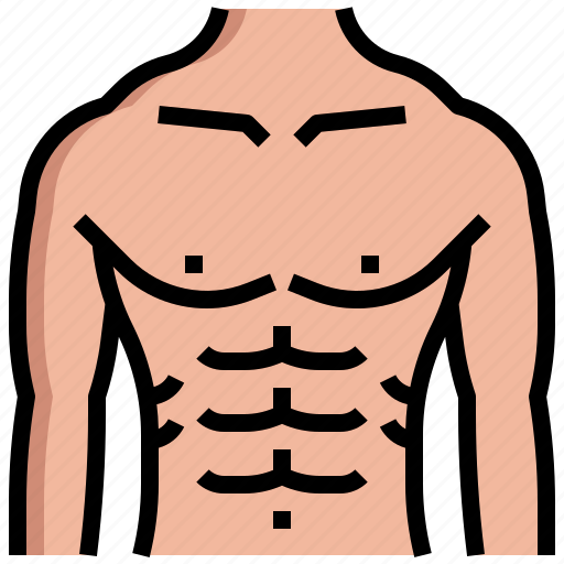 Six, pack, muscle, workout, sports, competition, fitness icon - Download on Iconfinder