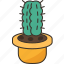 cactus, hemorrhoid, pain, butt, illness 