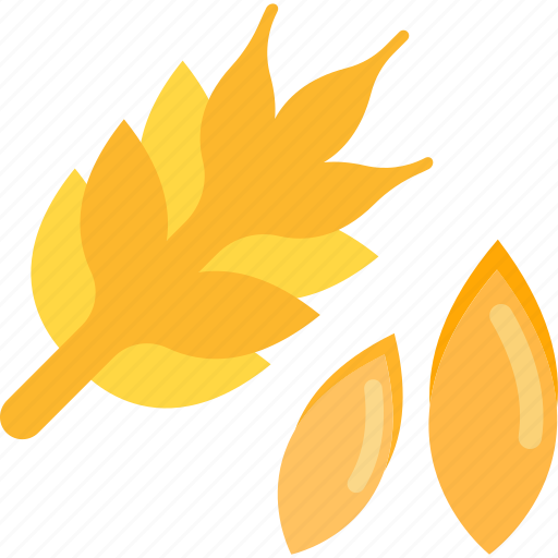 Corn, food, herbs, wheat icon - Download on Iconfinder