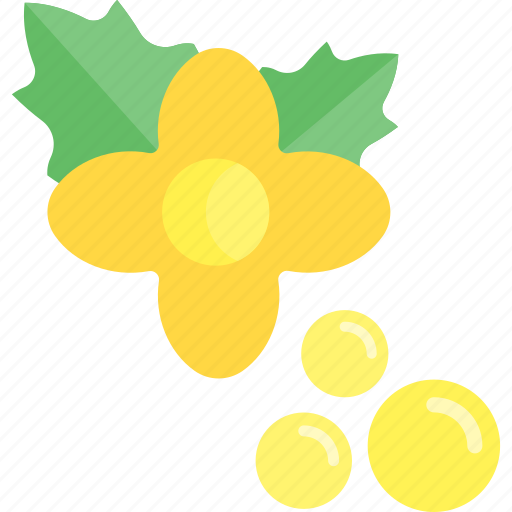 Flower, food, herbs, seed icon - Download on Iconfinder