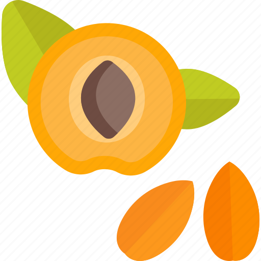 Food, herbs, peach, pit icon - Download on Iconfinder