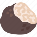 black truffle, cuisine, culinary, fungus, perigord, truffle