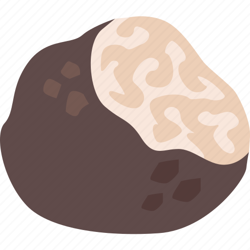 Black truffle, cuisine, culinary, fungus, perigord, truffle icon - Download on Iconfinder
