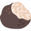 black truffle, cuisine, culinary, fungus, perigord, truffle 