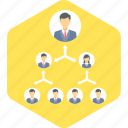 hierarchy, group, management, organization, structure, team