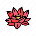 lotus, flower, god, om, hinduism, india