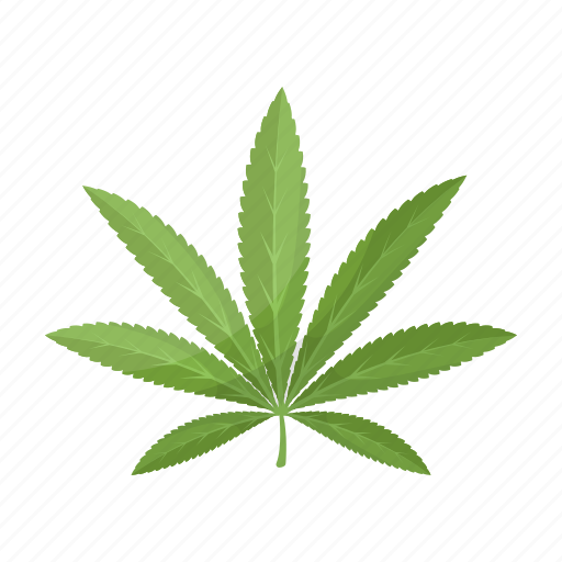 Cannabis, drug, hemp, leaf, plant icon - Download on Iconfinder