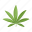 cannabis, drug, hemp, leaf, plant 