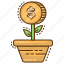 growth, plant, coins, money, finance 