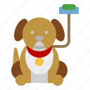 dog, pet, veterinary, guide, accessibility