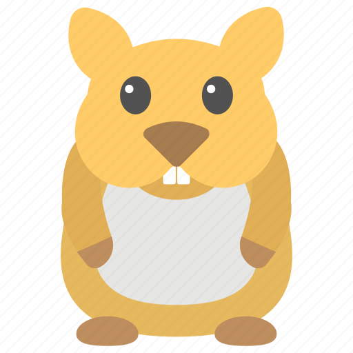 Groundhog day, groundhog shadow, mythical event, summer arrival, superstition icon - Download on Iconfinder