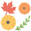 flower of myanmar, maple leaf, olive branch, orange daisy, thanksgiving 