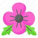 remembrance, day, poppy, flower, canada, armistice, military