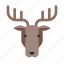 reindeer, christmas, decoration, deer, rudolf, rudolph, xmas 