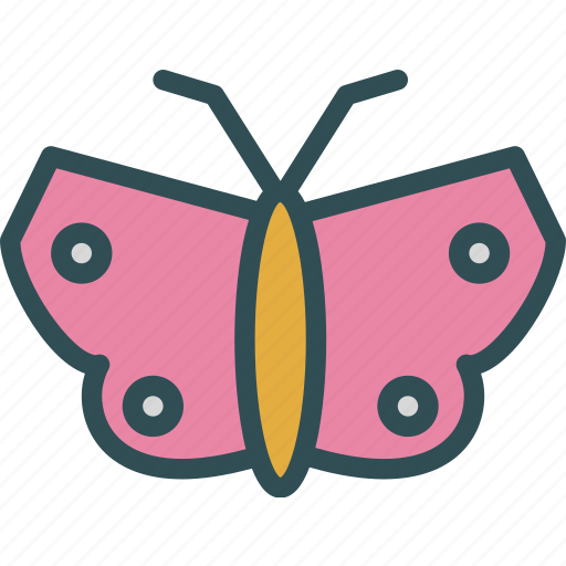 Butterfly, color, peace, spring icon - Download on Iconfinder