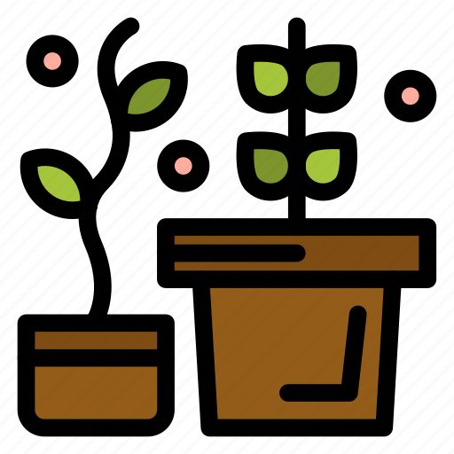 Growth, plant, potted icon - Download on Iconfinder