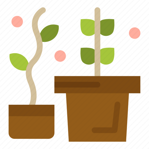 Growth, plant, potted icon - Download on Iconfinder