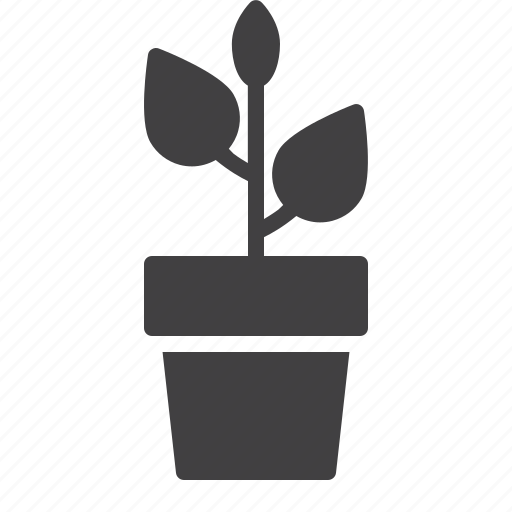 Leaf, plant, pot, flower icon - Download on Iconfinder