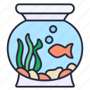 glass, bowl, fish, aquarium, fishbowl