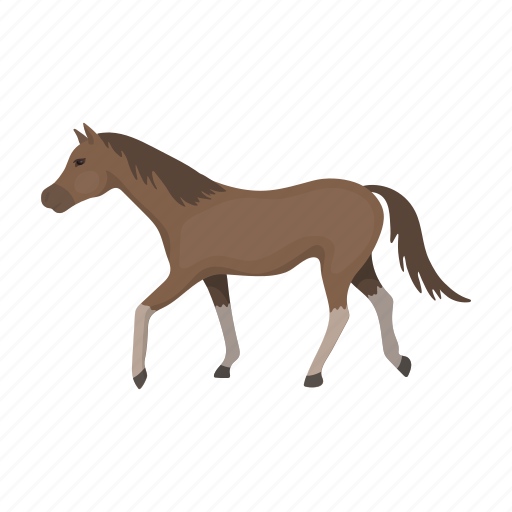 Animal, horse, mammal, pet, steed icon - Download on Iconfinder
