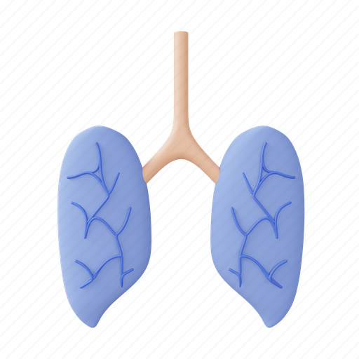 Patient, sanitizer, lung, hospital, health, coronavirus, docter 3D illustration - Download on Iconfinder
