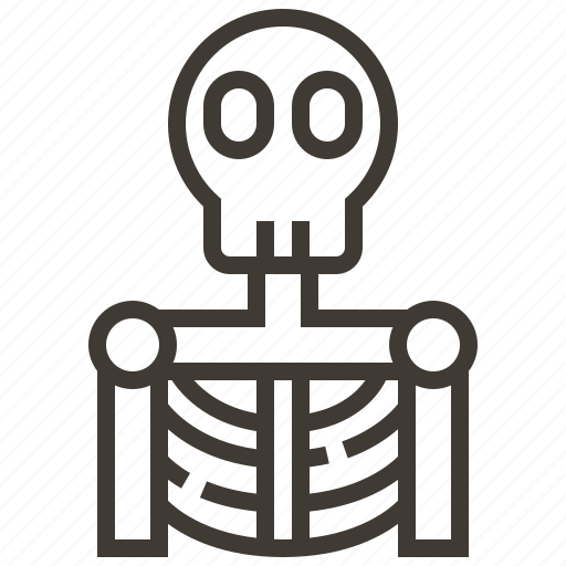 Bones, medical, skeleton, skull icon - Download on Iconfinder