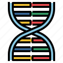 chromosome, dna, genetic, healthcare, medical, structure