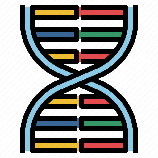 Chromosome, dna, genetic, healthcare, medical, structure icon - Download on Iconfinder