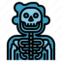 bones, healthcare, medical, radiology, ray, skeleton, x