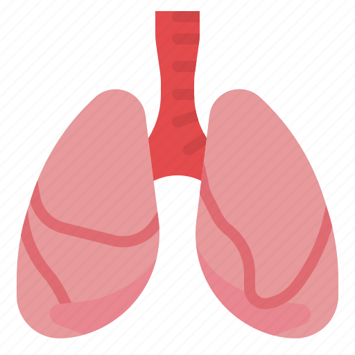 Anatomy, breath, healthcare, lung, medical, organ icon - Download on Iconfinder