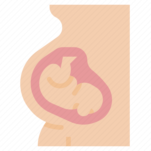 Female, fertility, gestation, healthcare, medical, pregnancy, pregnant icon - Download on Iconfinder