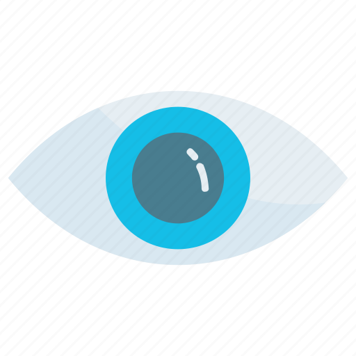 Eye, opportunity, vision, find, view, zoom, eyesight icon - Download on Iconfinder